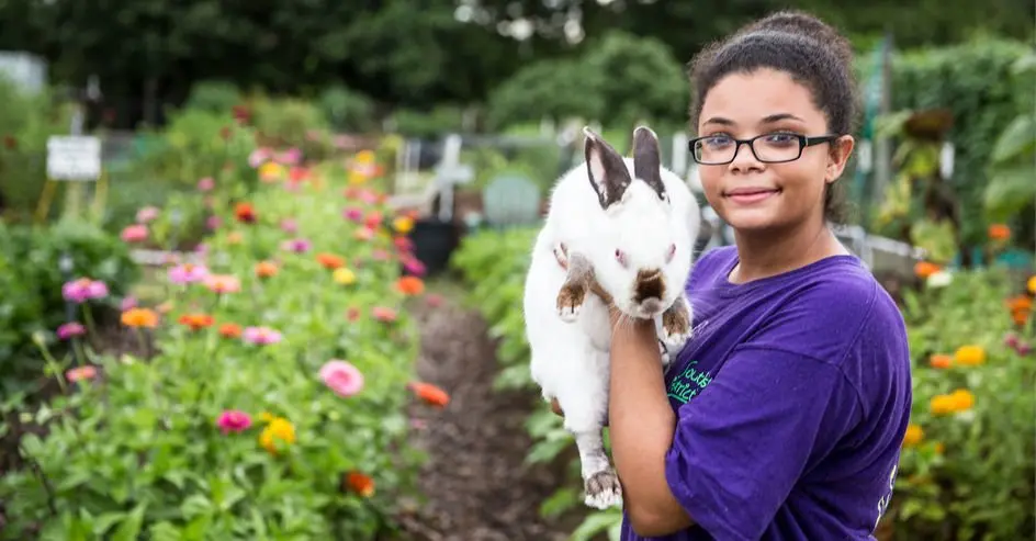 youth development example of animal science